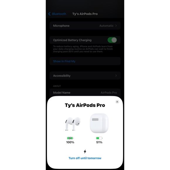 AirPods Pro - Picture 10 of 10